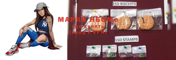 не бодяженный Новодвинск
