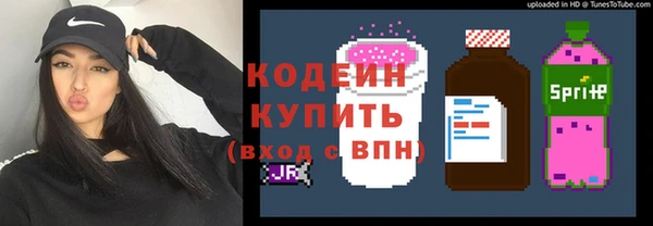 шишки Новокубанск