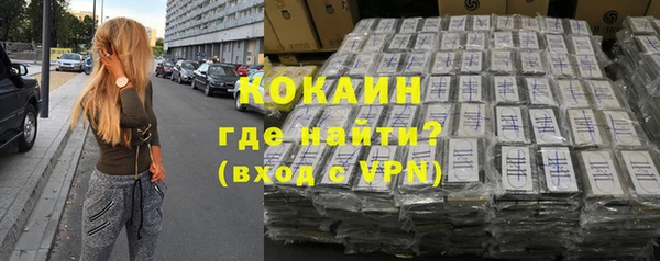 шишки Новокубанск
