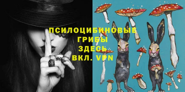 метадон Абаза