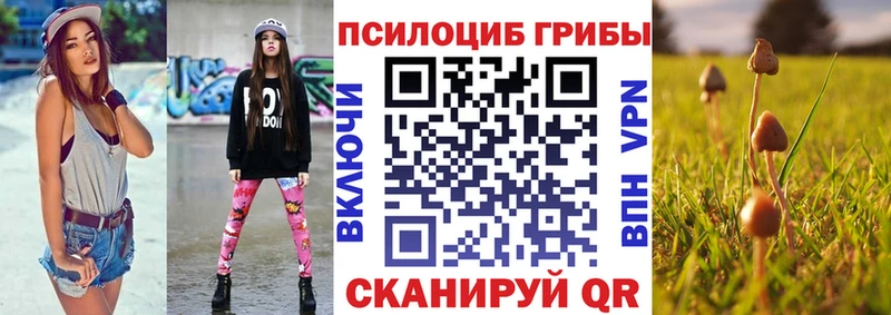 купить закладку  Яранск  OMG ссылки  Псилоцибиновые грибы мухоморы 